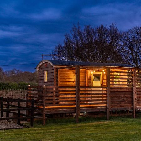 Hillside View Shepherds Hut - Ockeridge Rural Retreats Little Witley Exterior foto
