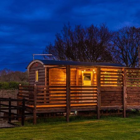 Hillside View Shepherds Hut - Ockeridge Rural Retreats Little Witley Exterior foto